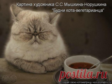 Вегетарианец | KotoMail.ru