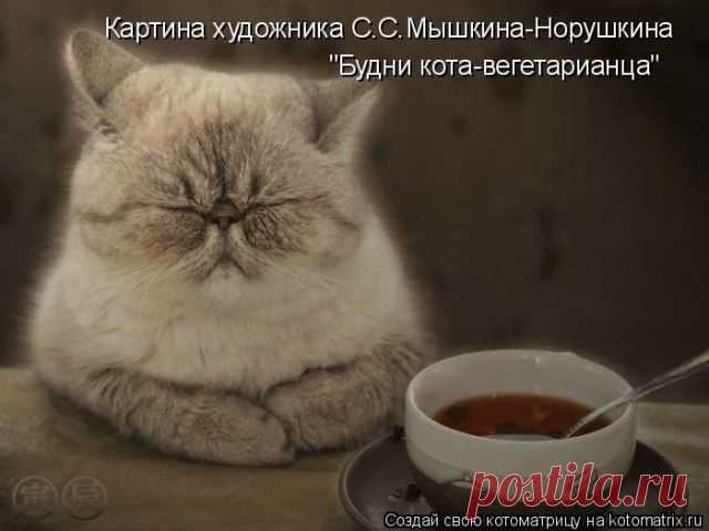 Вегетарианец | KotoMail.ru