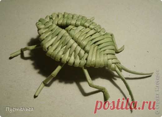 Клоп | Страна Мастеров