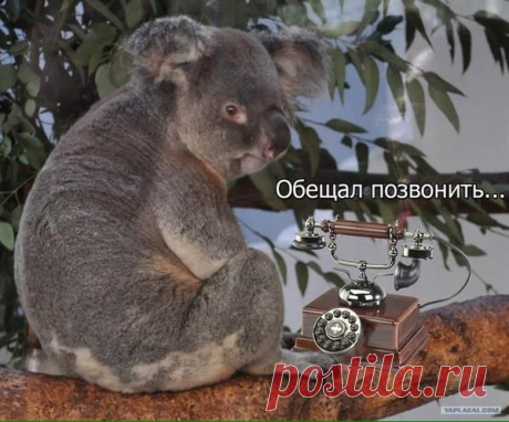 Итоги недели. «Это только ты умный, а я так — погулять вышел» » Военное обозрение