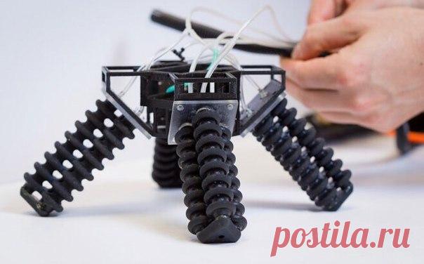Напечатанный на 3D-принтере робот получил «мягкие» ноги / Интересное в IT