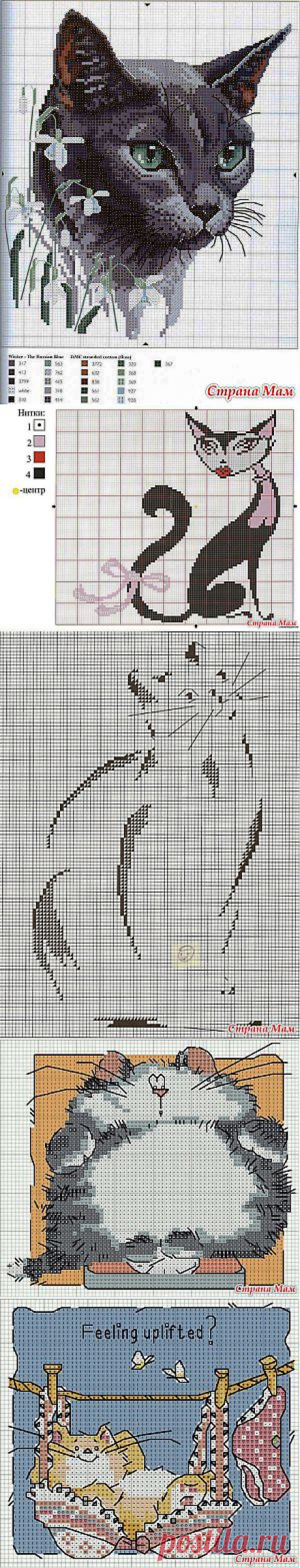 Вышивки крестиком Котики и Собачки.: Дневник группы &quot;Клуб рукоделия&quot; - Страна Мам