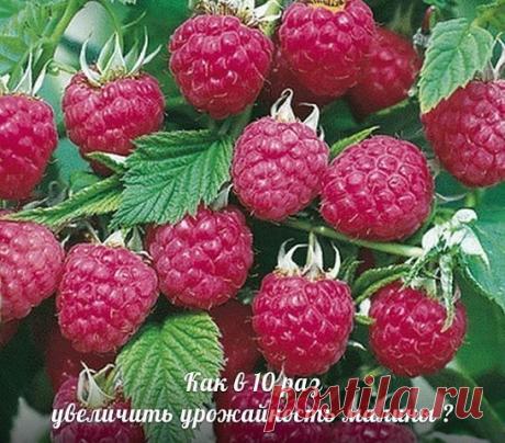 (21) Одноклассники