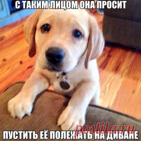 Чёткие приколы