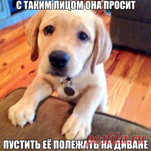 Чёткие приколы