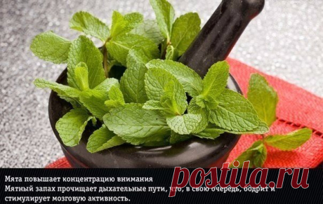 Красота меняет настроение