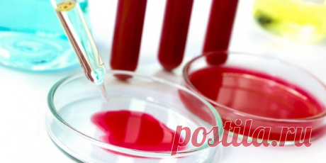 Факты, которые изумляют! «Скажи мне, какая у тебя группа крови, и я скажу – кто ты»