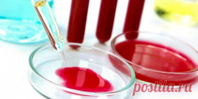 Факты, которые изумляют! «Скажи мне, какая у тебя группа крови, и я скажу – кто ты»