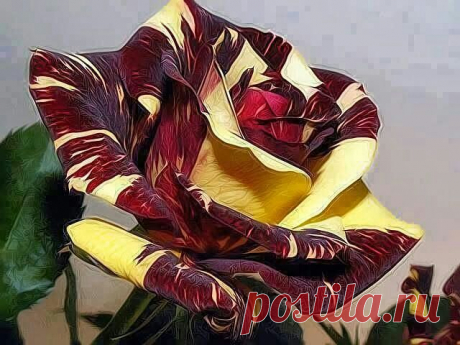 getImage (640×480)
