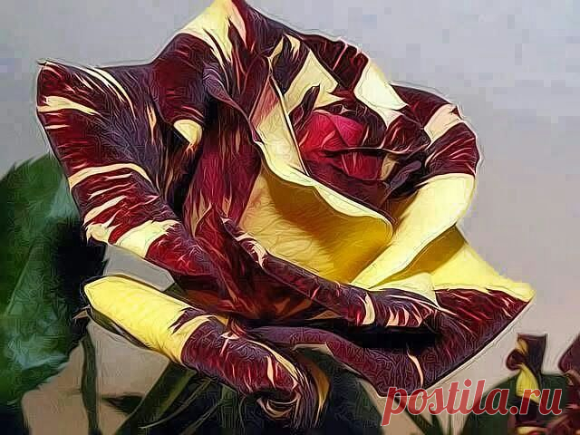 getImage (640×480)