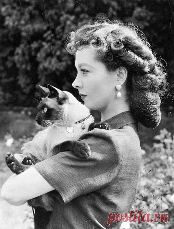 Вивьен Ли с сиамским котом Нью-Бой, 1940