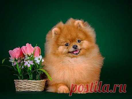Мой Мир@Mail.Ru