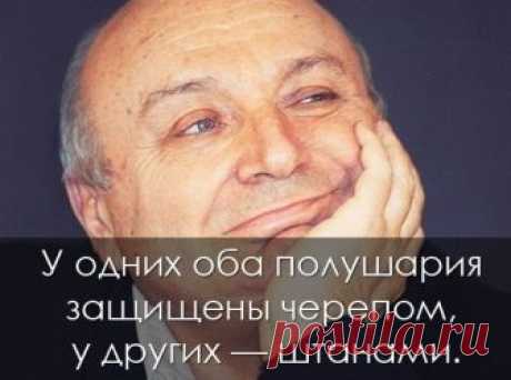 80 жизненных историй в одну строчку от Михаила Жванецкого