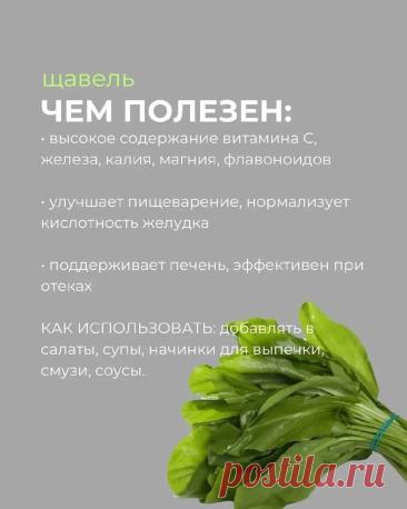 Щавель - чем полезен
