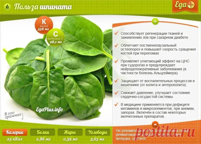 Польза шпината