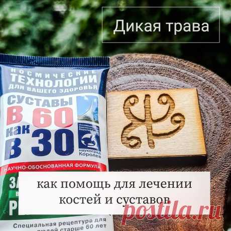 Мастер Дарья Ланд | Рунолог в Instagram: «Дикая трава мамы Бригит, как помощь для лечения восстановления костей и суставов .🌱  Если повредили сустав, то исправлять необходимо с…» 28 отметок «Нравится», 1 комментариев — Мастер Дарья Ланд | Рунолог (@mymagicalservices) в Instagram: «Дикая трава мамы Бригит, как помощь для лечения восстановления костей и суставов .🌱  Если повредили…»