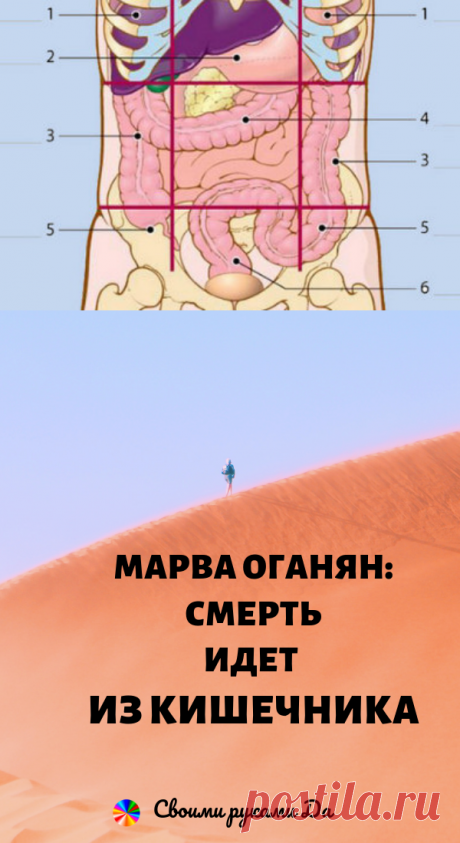 Марва Оганян: Смерть идет из кишечника
