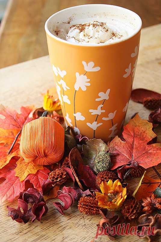 6221052597_2ae341e17d_o.jpg (535×803)