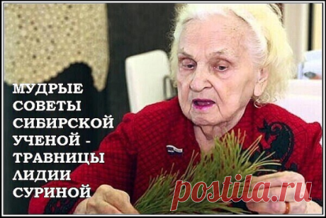 Питание: советы травницы Суриной Л.Н.
Рассказывает Лидия Несторовна Сурина – кандидат биологических наук,
фитотерапевт, травник с 40-летним стажем, участница трёх европейских
конгрессов и II Всемирного конгресса врачей по фитотерапии в Праге