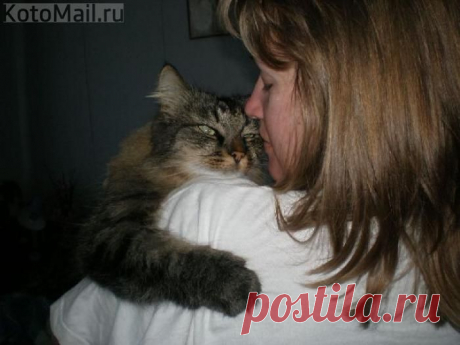 Они скучают по нам при каждом расставании | KotoMail.ru