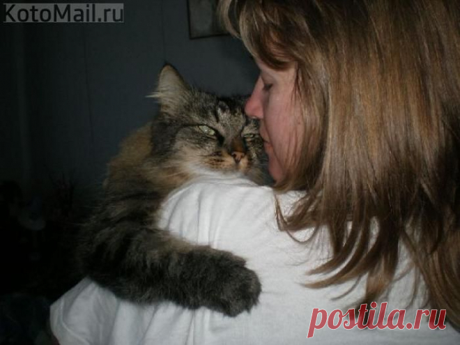 Они скучают по нам при каждом расставании | KotoMail.ru