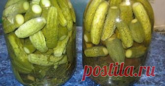 Маринованные сладкие огурчики #Заготовкиназиму Автор рецепта Галина Р-Н Маринованные сладкие огурчики #Заготовкиназиму - пошаговый рецепт с фото. Все время закатываю огурцы на зиму. Перепробовала много разных рецептов, все по своему хороши. Несколько последних лет делаю такие и всем очень нравятся. Может еще кому-нибудь пригодится.