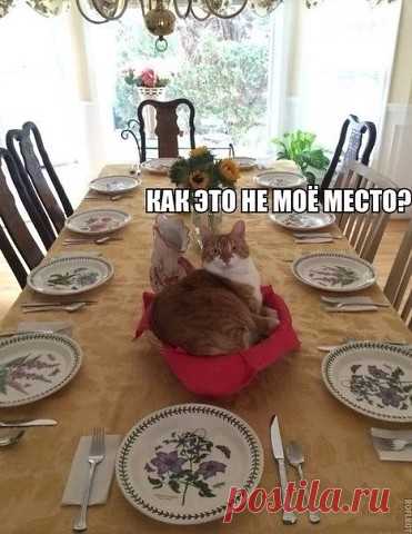 Стол накрыт ,
 а в центре - я !
 Соберутся скоро гости , 
чтоб  не забыли про меня , 
а то мне оставят только кости !