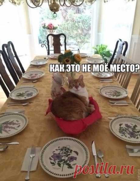 Стол накрыт ,
 а в центре - я !
 Соберутся скоро гости , 
чтоб  не забыли про меня , 
а то мне оставят только кости !