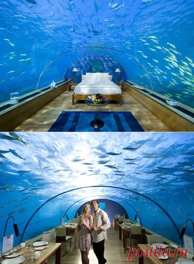 Отель под водой : Hilton's Conrad Maldives Rangali Island Resort -- Rangali Island, The Maldives
On very special occasions, this resort transforms its all-glass, underwater, 12-seater Ithaa Undersea Restaurant -- the world's first -- into a private bedroom suite for two.
Depth: 16ft. Rate: $815/night

http://conradhotels3.hilton.com/en/hotels/maldives/conrad-maldives-rangali-island-MLEHICI/gallery/index.html