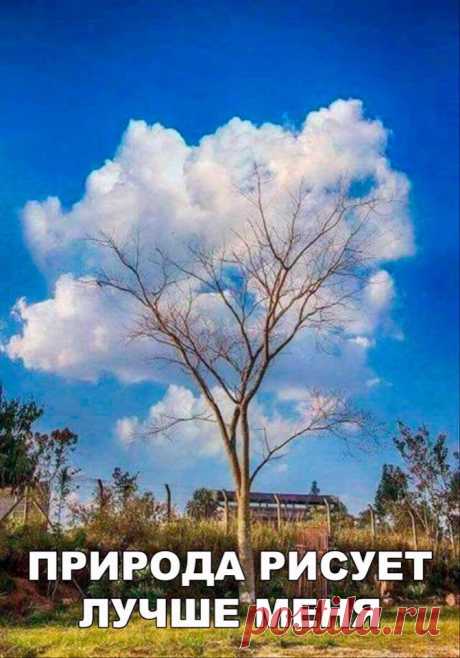 Прикольные картинки с надписями для настроения (11 фото)