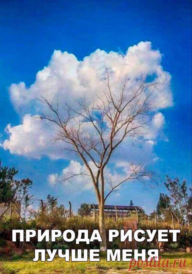 Прикольные картинки с надписями для настроения (11 фото)