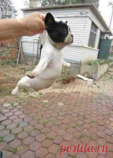 Я лечу...