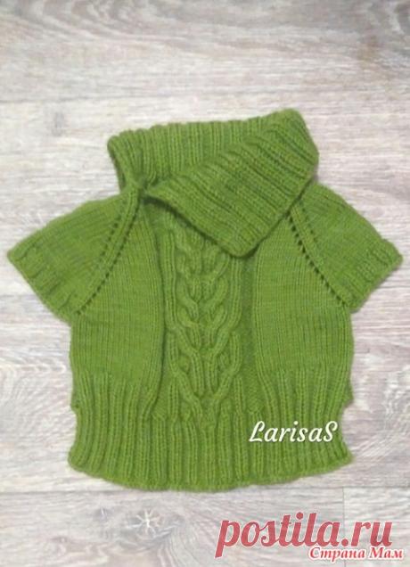 Свитер для маленькой собачки, спицами. - Вязание - Страна Мам