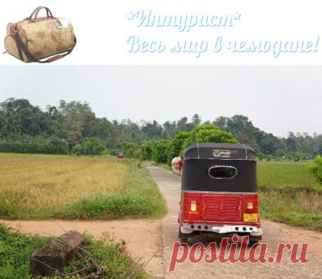 Страна, где исполняются мечты - Шри Ланка - Блог