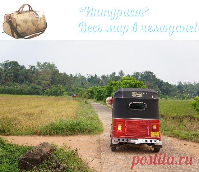 Страна, где исполняются мечты - Шри Ланка - Блог