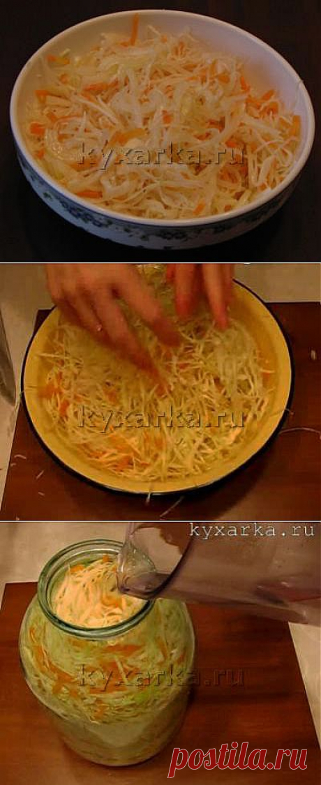Кухарка: домашняя кухня, видео, кулинария, рецепты, советы, фото| Квашеная капуста (быстрый способ)