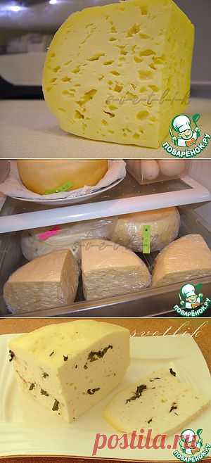 Домашний твердый сыр - кулинарный рецепт
