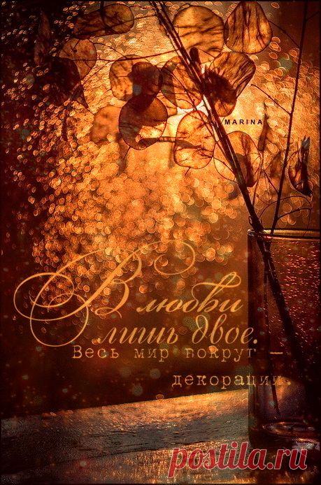 Яндекс.Фотки