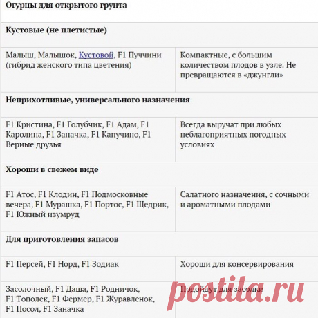 Огород и дача.