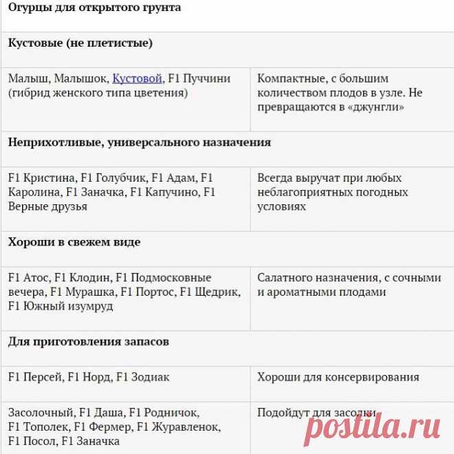 Огород и дача.