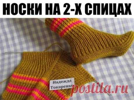 НОСКИ НА 2-Х СПИЦАХ ОТ НАДЕЖДЫ ТОКАРЕНКО...
Носочки вяжутся на двух спицах.                                                                                    Набрала 49 петель на спицы №3. Провязала 30 рядов резинкой 1 на 1. Нашла среднюю петлю (25-ая), отметила её цветной нитью. 
В каждом лицевом ряду из этой петли вывязывала 5 петель (лиц, накид, лиц, накид, лицевая). Изнаночные ряды вязала как смотрит вязка. Когда на спице связалось 97 петель (это на 37 размер), провяз...