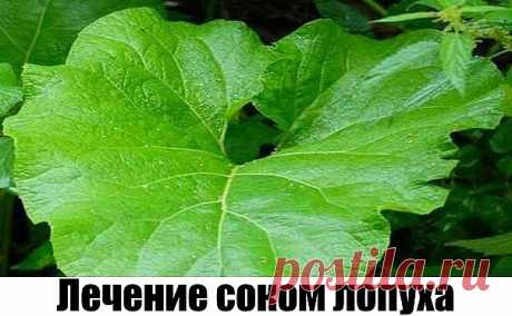(21) Одноклассники