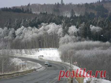 Фотографии Наталья Ляхова | 1303 фото
