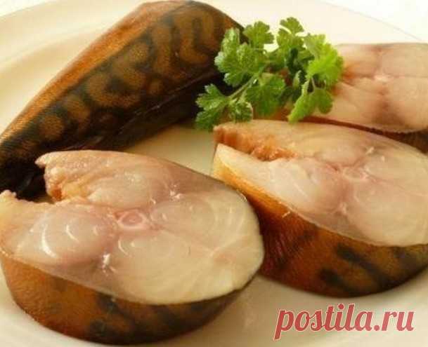 Скумбрия 