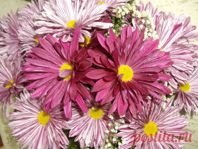 Букет цветов  - https://www.facebook.com/photo.php?fbid=414716098650426&set=a.374930369295666.1073741831.100003361184150&type=1&theater&notif_t=photo_comment_tagged