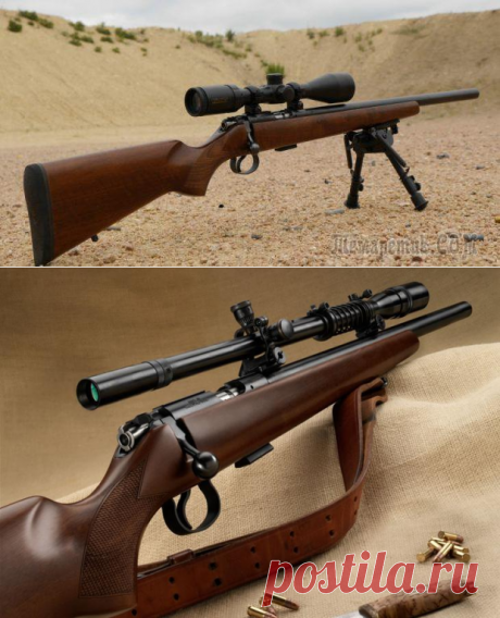 Особенности серии 455 малокалиберных винтовок CZ под патрон кольцевого воспламенения