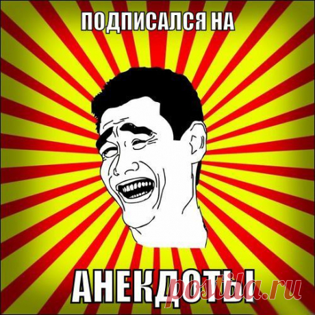 / 42 слона!