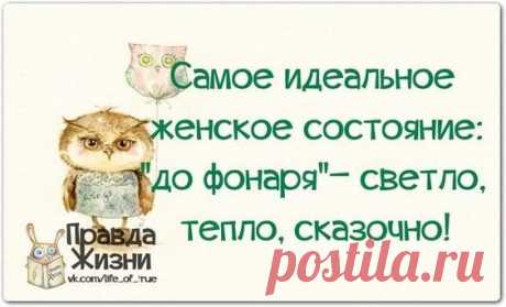 Веселые шутки и истории для поднятия настроения
