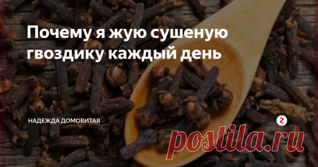 Почему я жую сушеную гвоздику каждый день | Надежда Домовитая | Яндекс Дзен