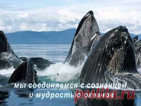 Оберег от неприятностей.Молитвы заговоры обереги.
